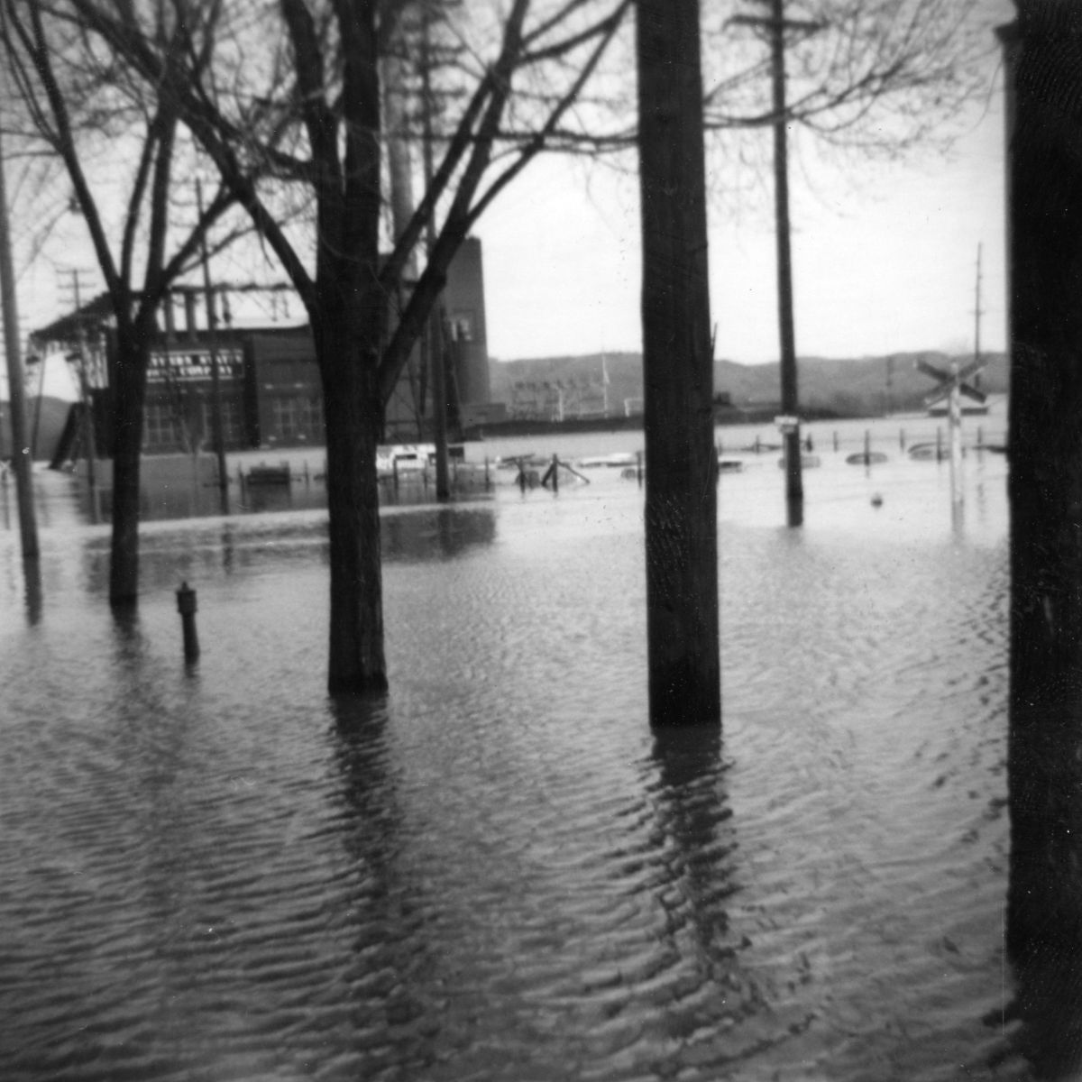Pieces of the Past - 1965 Flood